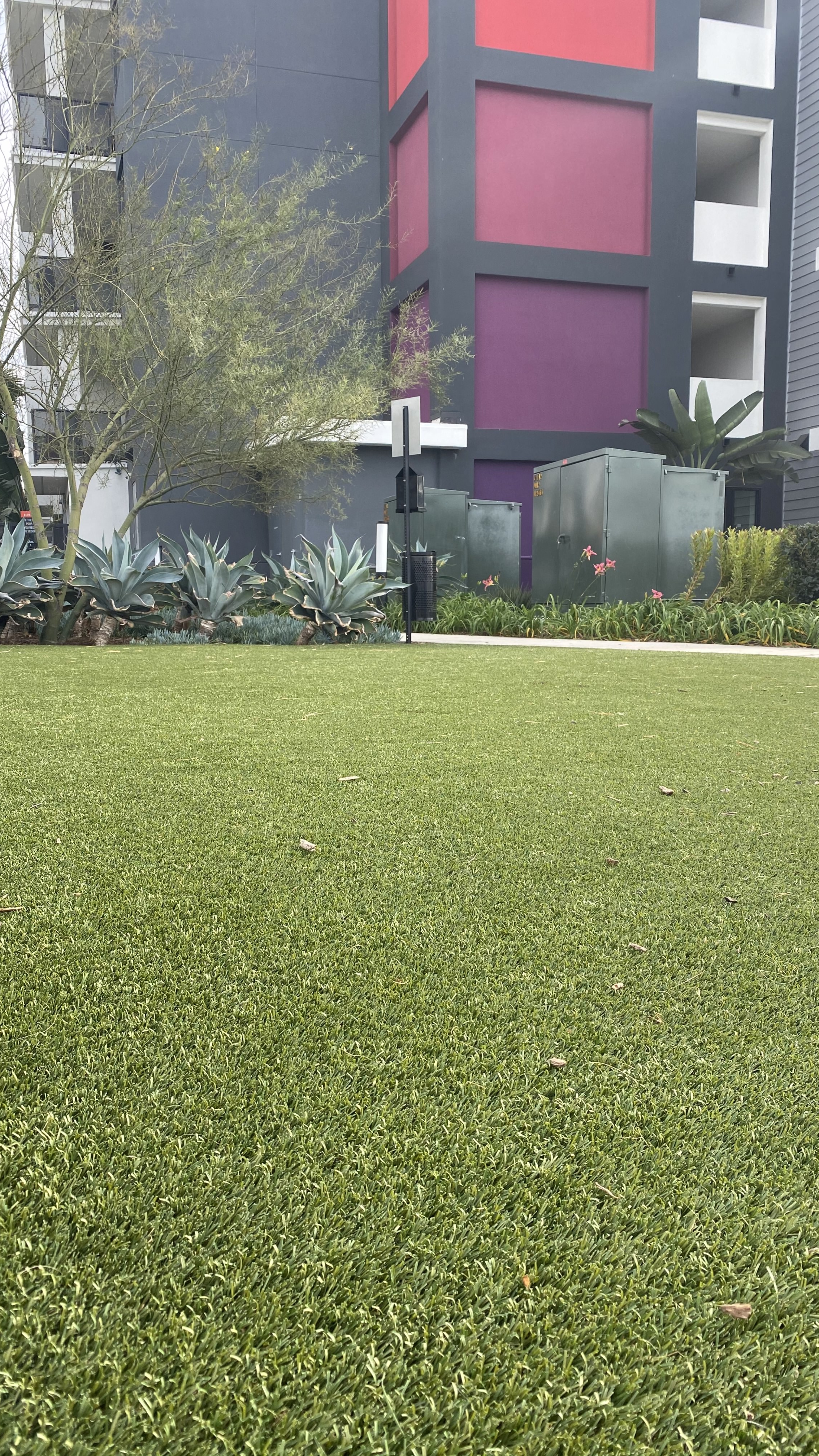 Cool Blue Hollow Olive artificial turf,synthetic turf,artificial turf installation,how to install artificial turf,used artificial turf,most realistic artificial grass,realistic artificial grass