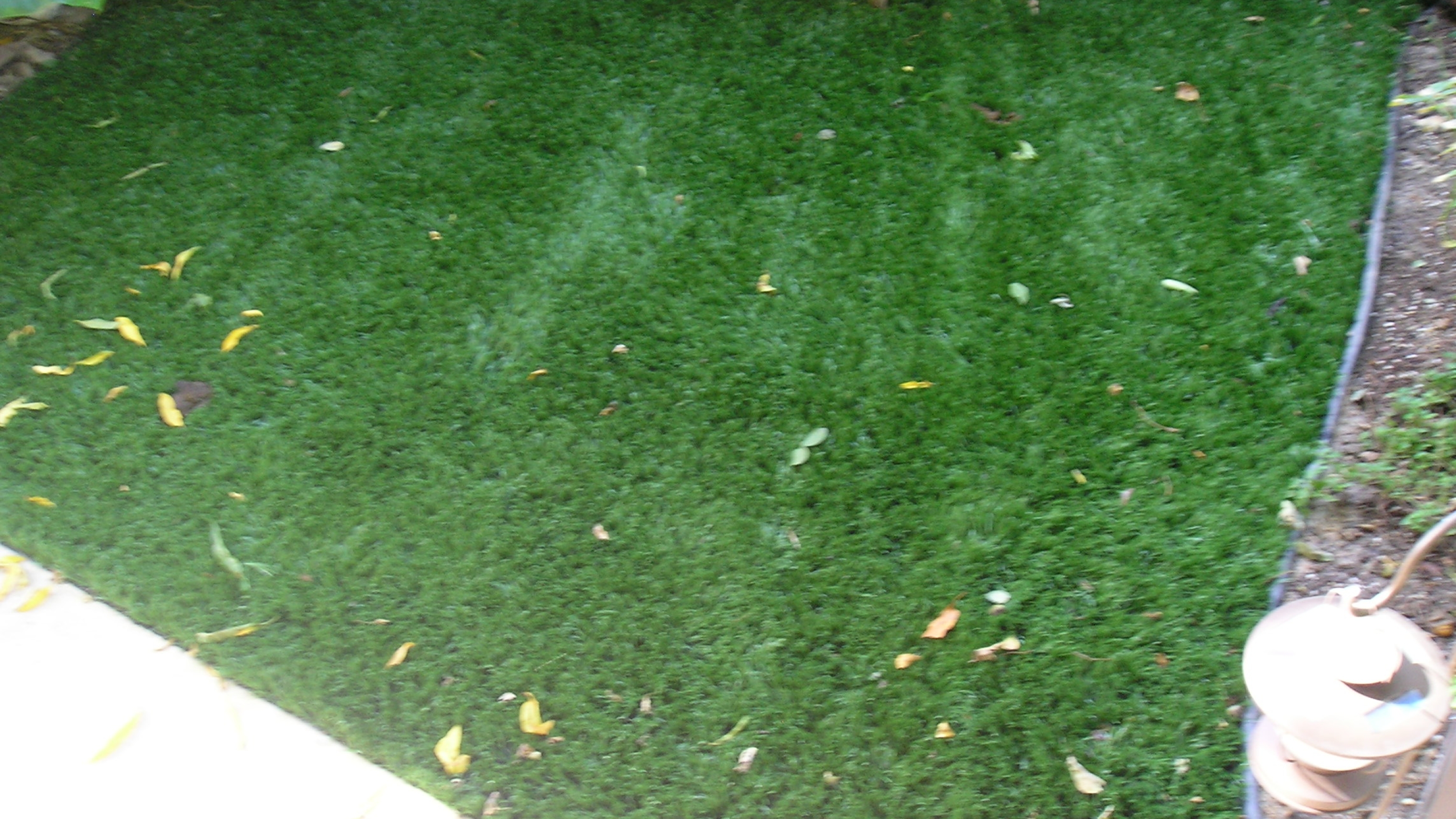 Cool Blue Hollow Olive fake green grass,green grass carpet