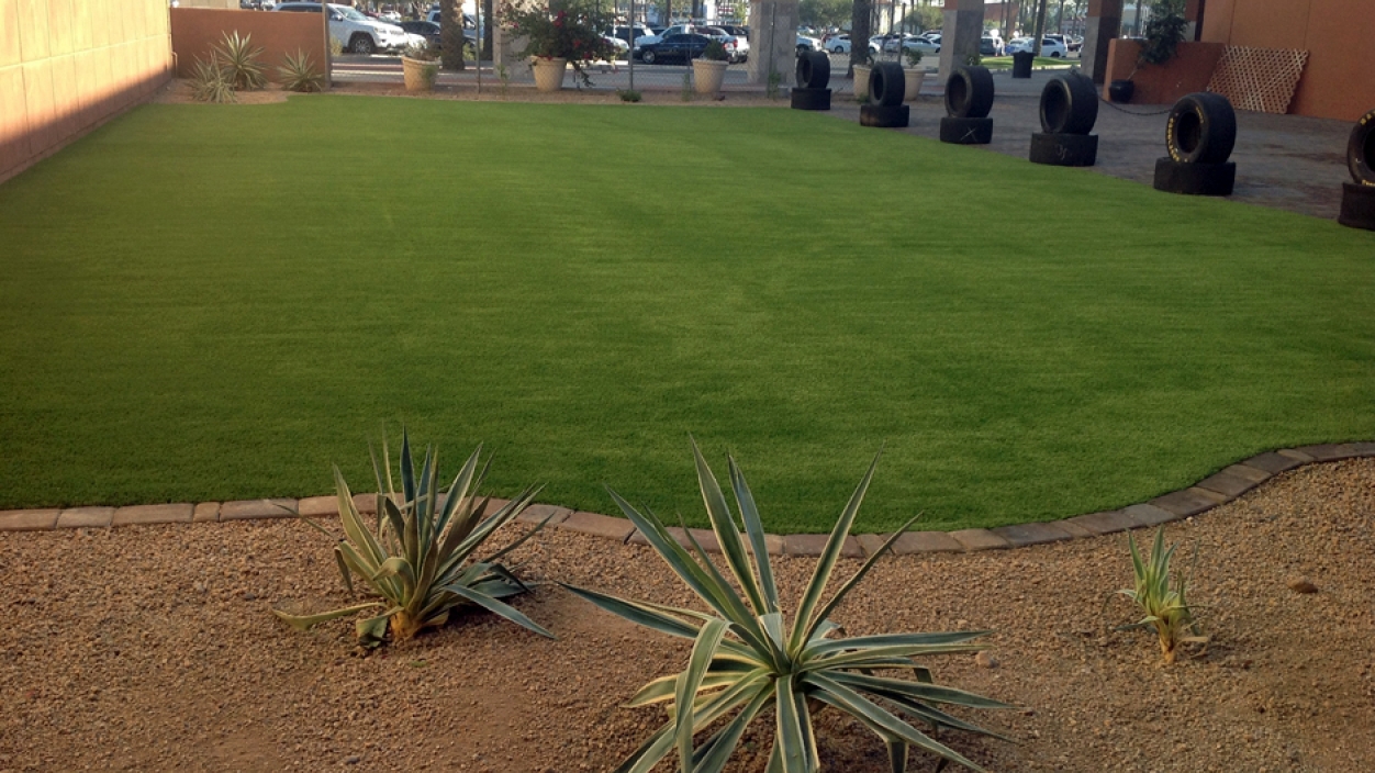 Artificial Grass Installation In Marana, Arizona