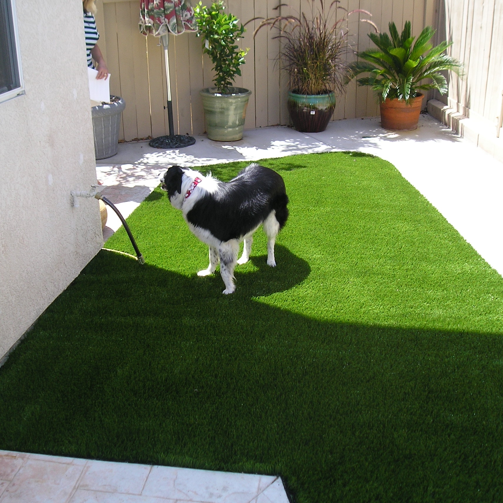 S Blade-90 landscaping with artificial grass,grass looking rug,real looking fake grass,real looking artificial grass,artificial grasses,fake grasses,grass looking rug,real looking fake grass,real looking artificial grass