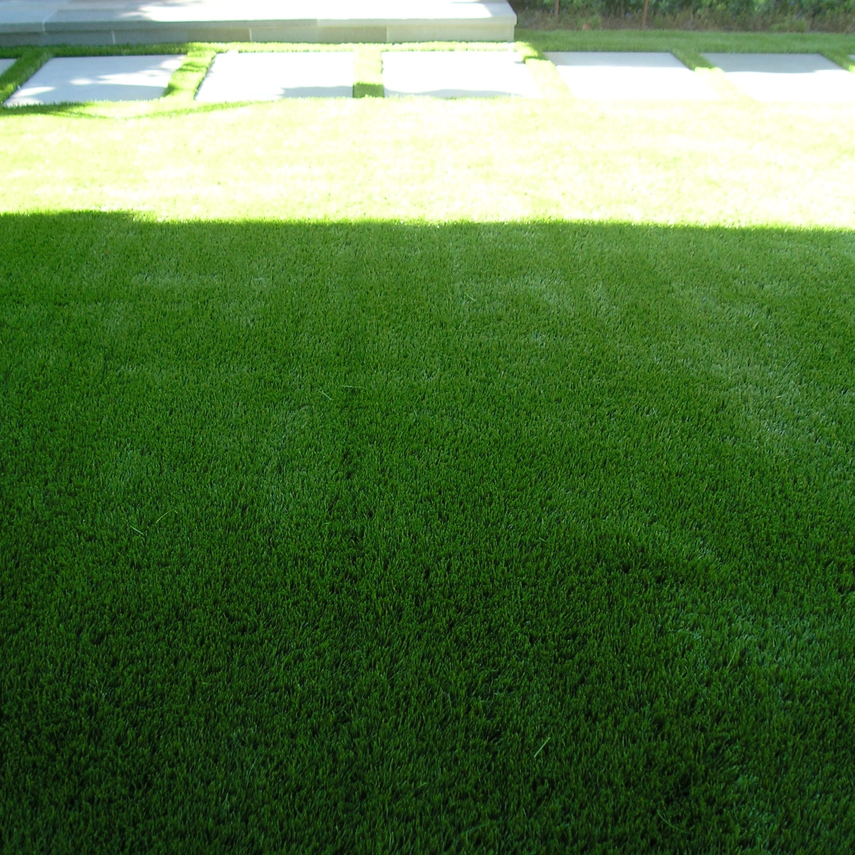 Super Natural 60 fake grass,fake grass for yard,fake lawn,fake grass carpet,fake turf,artificial grass,fake grass,synthetic grass,grass carpet,artificial grass rug
