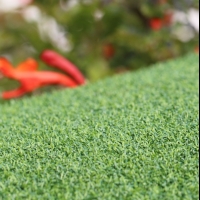 Putt-60 Bicolor Putt-60 Bicolor Putting Green Grass - Global Syn-Turf