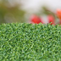 Putt-60 Bicolor Putt-60 Bicolor Backyard Putting Green Synthetic Turf