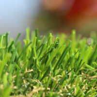 Spring-50 Spring 50 Artificial Grass - Global Syn-Turf
