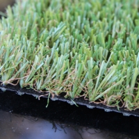 Residential Pet Grass