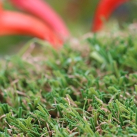 Natural Looking Synthetic Turf Grass