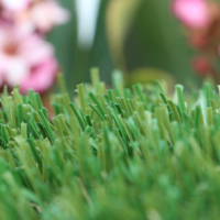 U Blade 80 oz. artificial grass. a bright, and beautiful green grass that will last years.