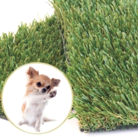 Artificial grass for dogs - Pet Turf Perfect Drainage, dog with paw, synthetic turf samples