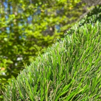Super Natural Lite Artificial Turf by Global Syn-Turf