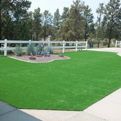 Synthetic Grass, Fake Grass in Billings, Montana