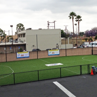 Artificial Grass Installation in Compton, California