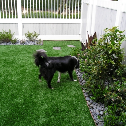 Olive-92 Stemgrass artificial grass,fake grass,synthetic grass,grass carpet,artificial grass rug