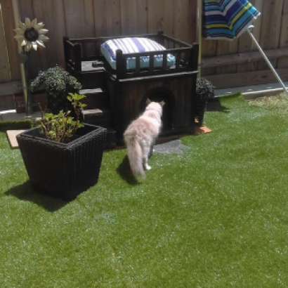 All Natural-75 grass good for cats,how good is artificial grass,cost of artificial grass,how much does it cost to install fake grass,cost of installing artificial grass, home depot artificial grass