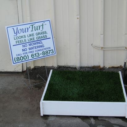 Pet Turf dog turf potty,fake grass dog potty,artificial grass for dogs potty,dog potty turf,artificial turf dog potty,doggy lawn,doggy grass,dog area in backyard,dog turf potty,fake grass dog potty,artificial grass for dogs potty,dog potty turf,artificial turf dog potty,grass like carpet,grass like rug,carpet like grass