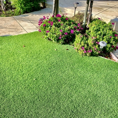 Cashmere 52 artificial grass installers,artificial turf installers,fake grass for yard,backyard turf,turf backyard,turf yard,fake grass for backyard,artificial lawns,fake lawns,artificial grass for lawns,artificial turf for lawns,fake grass for lawns,artificial lawn,synthetic lawn,fake lawn,turf lawn,fake grass lawn,artificial turf,synthetic turf,artificial turf installation,how to install artific