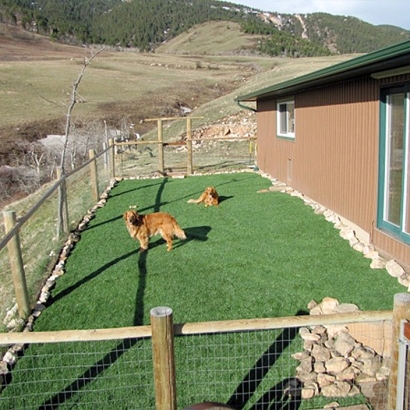 Artificial Grass Installation in Billings, Montana