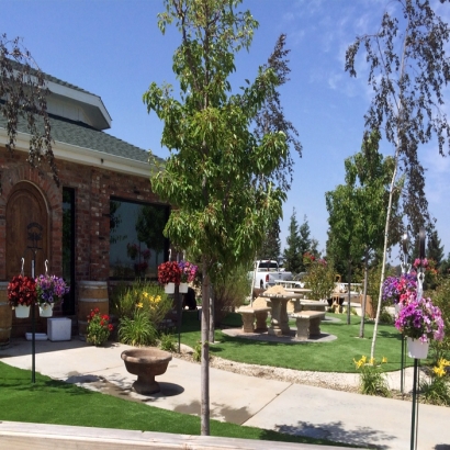 Artificial Grass Installation in Oakland, California