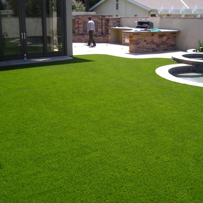 S Blade 50 best artificial grass,best fake grass,best synthetic grass,best turf,best artificial grass for home,backyard turf,turf backyard,fake grass for backyard,fake grass backyard,artificial grass backyard