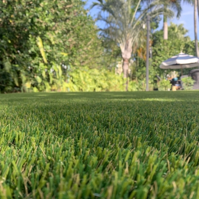 S Blade 50 best artificial grass,best fake grass,best synthetic grass,best turf,best artificial grass for home,best artificial grass,best fake grass,best synthetic grass,best turf,best artificial grass for home,artificial grass,fake grass,synthetic grass,grass carpet,artificial grass rug