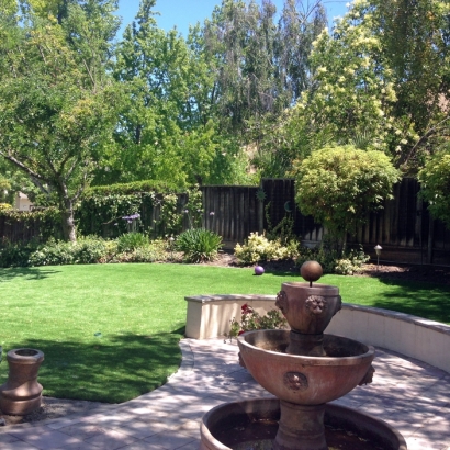 Artificial Grass Installation in Fremont, California