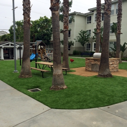 Artificial Grass, Synthetic Grass Installation in Los Angeles, California