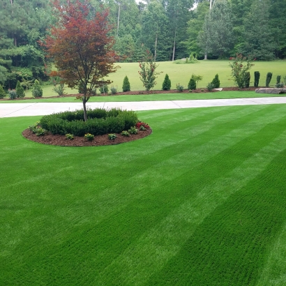 Always green artificial grass lawn in Lake Havasu, Arizona, Mohave. Tree, lawn, boxwood, green stripes landscape.