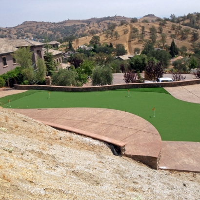 Artificial Grass Installation in Santa Maria, California