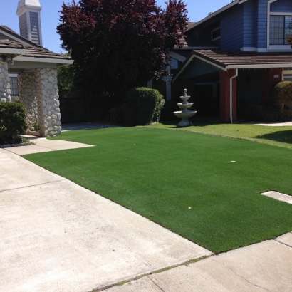 Artificial Grass Installation in Walnut Creek, California