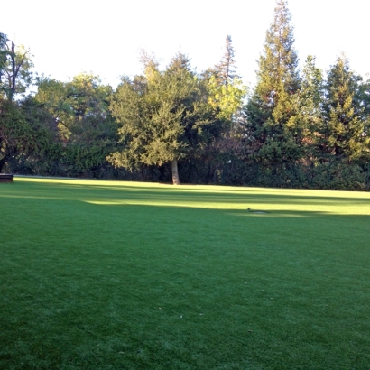 Artificial Grass Installation in Woodside, California