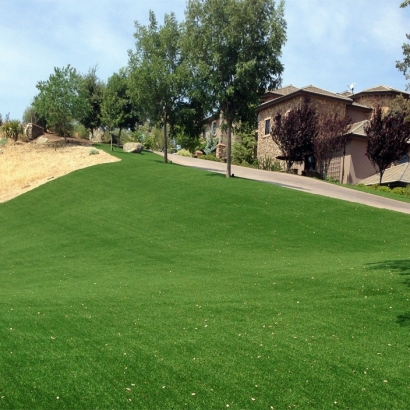 Artificial Grass Installation in Malibu, California