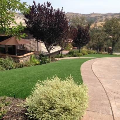 Artificial Grass Installation In Danville, California