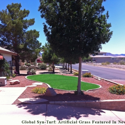 Front Yard Lawn with Small Artificial Grass Area and Tree