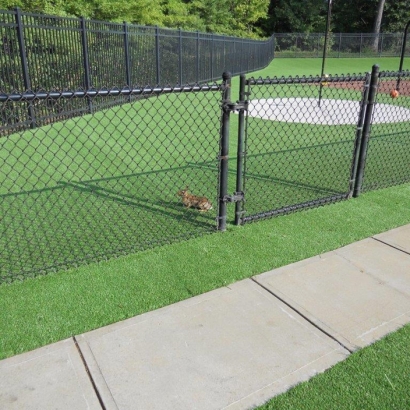 Artificial Grass Installation in Raleigh, North Carolina