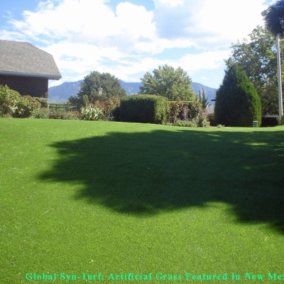 Synthetic Grass in Albuquerque, New Mexico