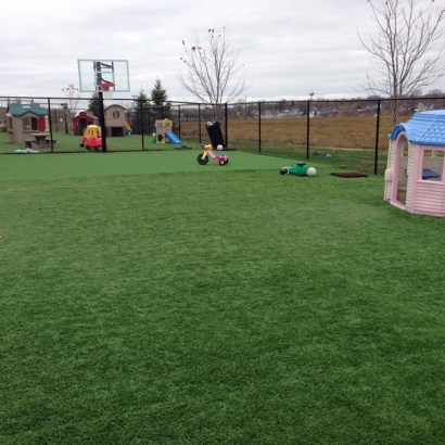 Artificial Grass Installation in Saint Paul, Minnesota