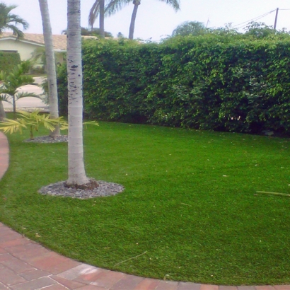 Artificial Grass Installation in Longwood, Florida