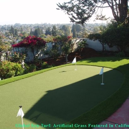 Backyard Golf Putting Greens In Scotts Valley, California