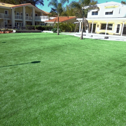 Artificial Grass Installation in Palm City, Florida