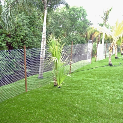 Artificial Grass Installation In Brandon, Florida