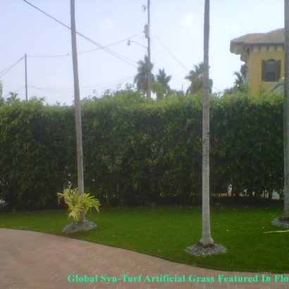 Artificial Grass Sidewalk public palm trees