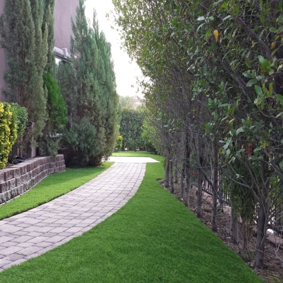 Artificial Grass Installation in Milpitas, California