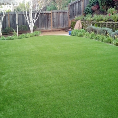 Backyard synthetic lawn green grass raised flower beds