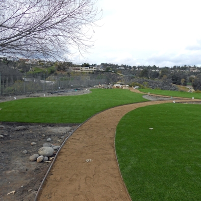 Artificial Grass Installation in Laguna Niguel, California