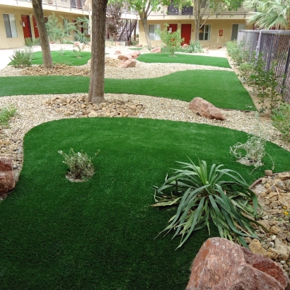 Artificial Grass Installation in Rancho Santa Margarita, California