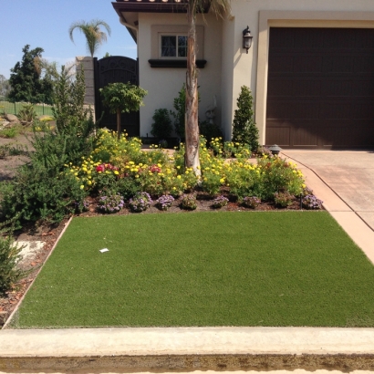 Artificial Grass Installation in Vallejo, California