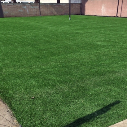 Artificial Grass Installation in South San Francisco, California