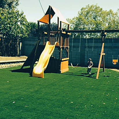 Artificial Grass Installation in Albany, California