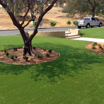 Artificial Grass Installation in Vista, California