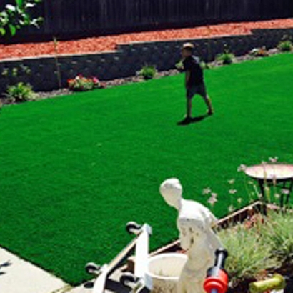 Artificial Grass Installation in Palmdale, California