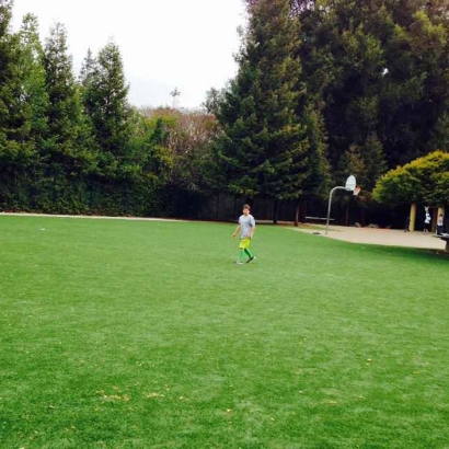 Artificial Grass Installation in Elk Grove, California